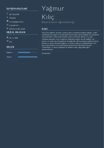 Okul Öncesi Öğretmeni Öğretmenliği Cv Örnekleri cv indir